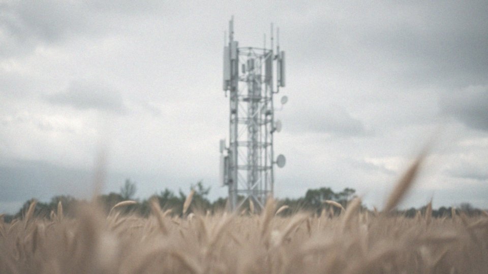 Dlaczego numer telefonu powinien być unikalny?