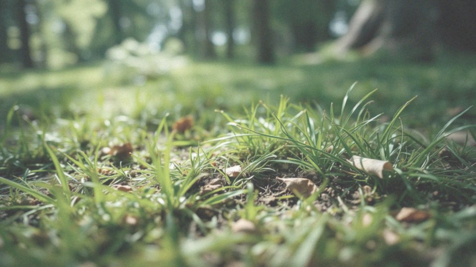 Jak długo po ukąszeniu kleszcza może pojawić się rumień?