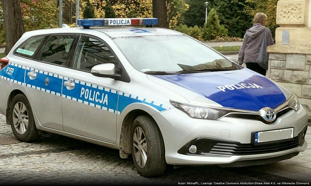 Policja Promuje Zawód Policjanta na Mini Targach Pracy