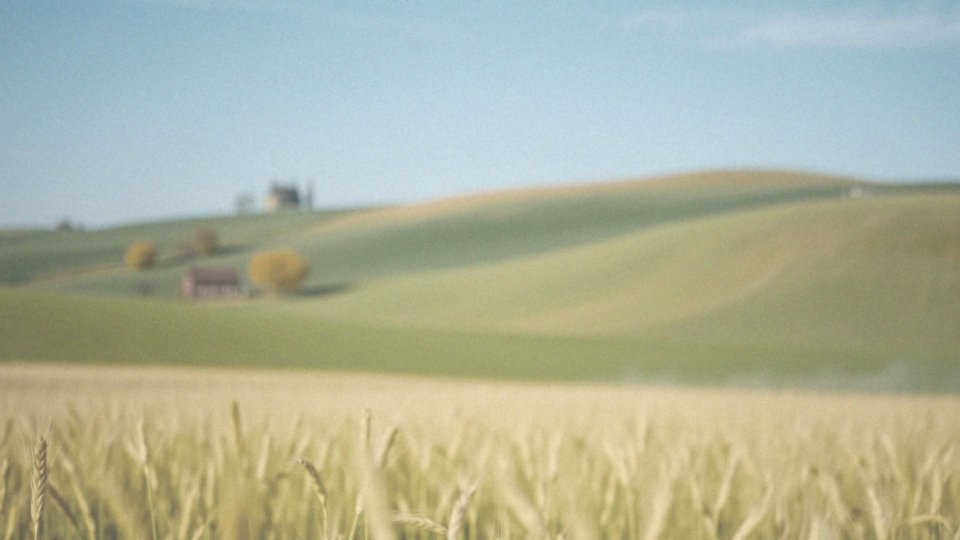Miąższ płucny bez zagęszczeń – co to znaczy dla zdrowia?