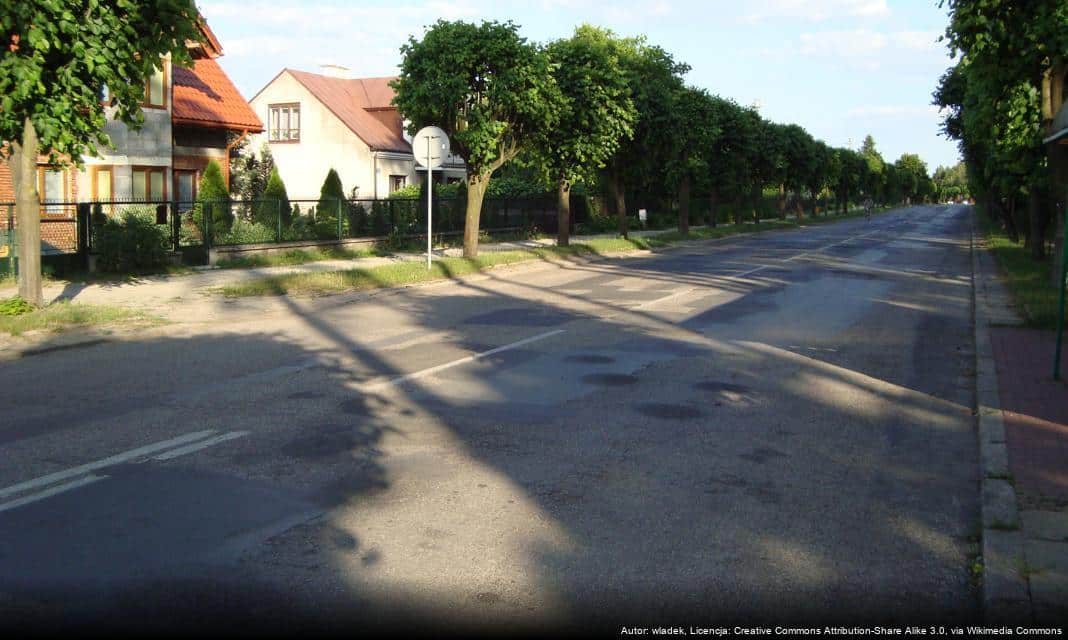 Zapoznaj się z możliwościami wsparcia lokalnych przedsiębiorstw w Pobiedziskach!